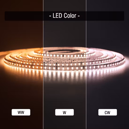 Vente d'usine Prix le plus bas CE RoHS Intérieur Bureau Accueil Paysage Tira LED Lumière Flexible LED Strip Light